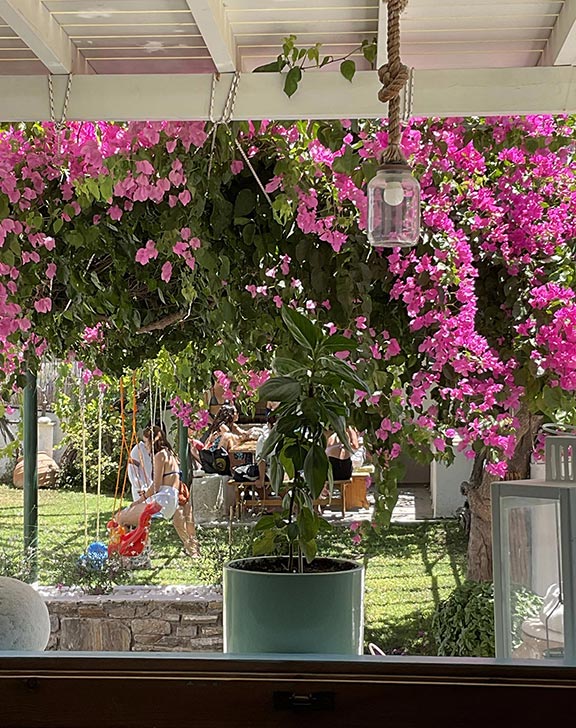 Ο κήπος και η παιδική χαρά στο Rodia studios στην Πάρο